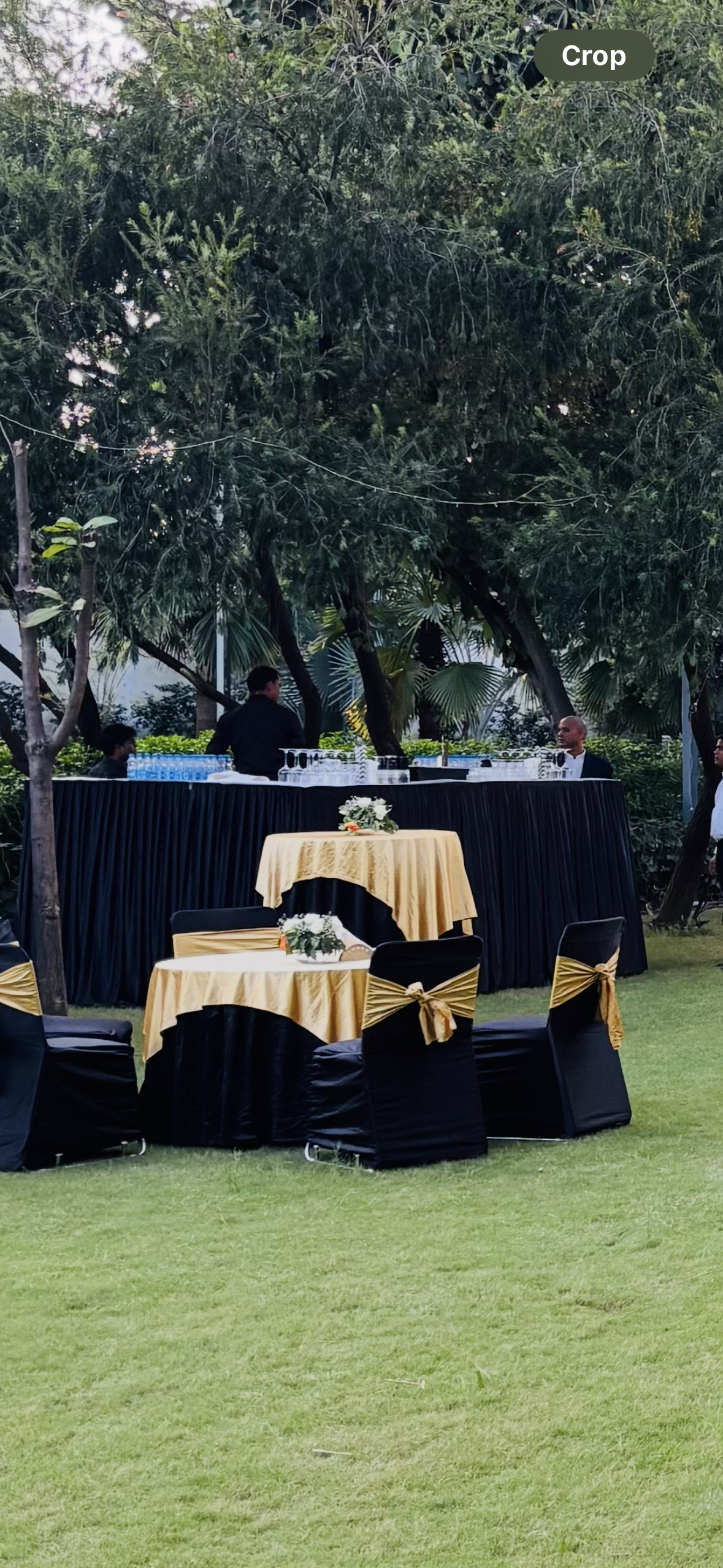 Reception stage for events